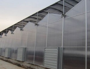 智能溫室大棚內的噴灌系統如何規劃