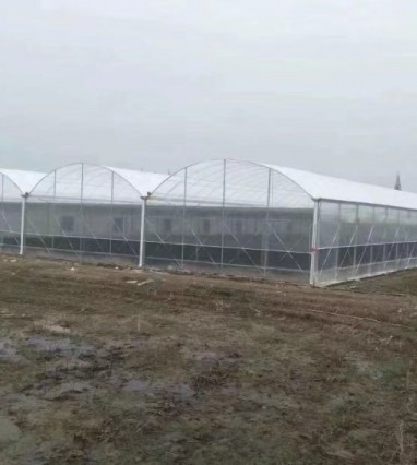 玻璃溫室的優(yōu)點(diǎn)有哪些？