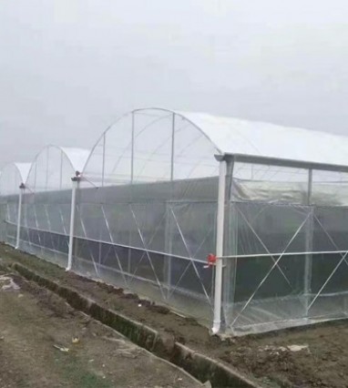 連棟薄膜溫室的結(jié)構(gòu)優(yōu)點(diǎn)分析