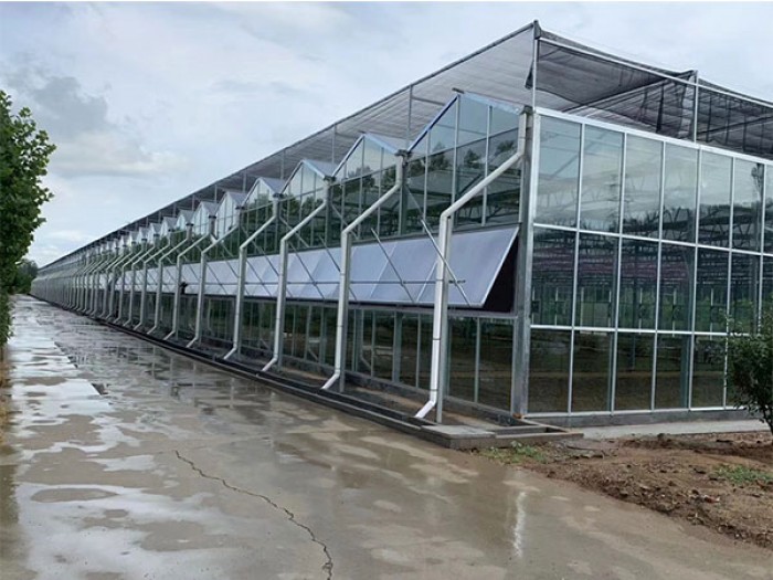玻璃大棚