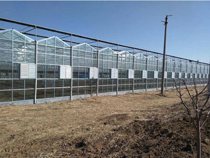玻璃大棚